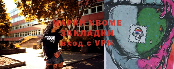мет Алексин