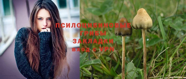 мет Алексин