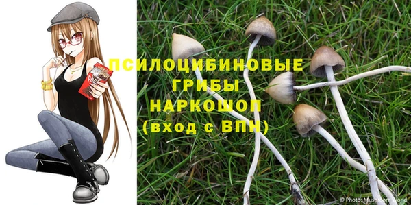 мет Алексин